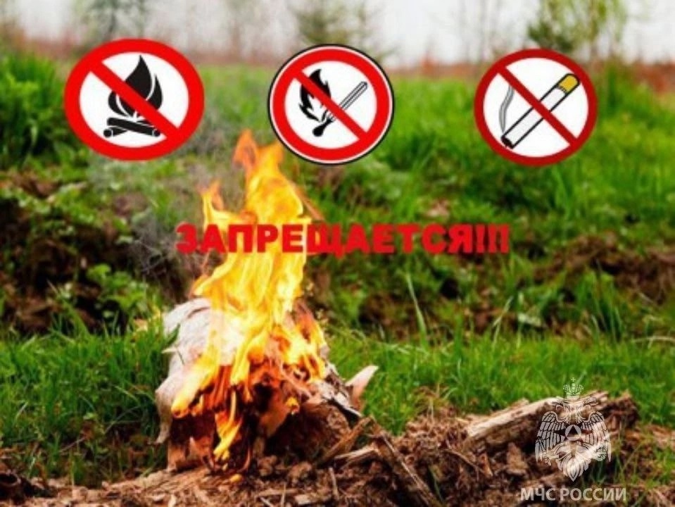 На основании постановления Правительства №294 на территории Республики Тыва продлён особый противопожарный режим до 07 июля.