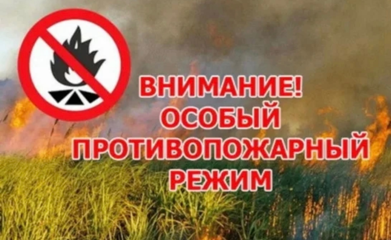 Внимание! Особый противопожарный режим в Туве был продлён до 7 июля 2025г из-за сохранения высокой пожарной опасности. Это решение было принято правительством Республики Тыва в связи с неблагоприятными метеорологическими условиями, которые создают угрозу Внимание! Особый противопожарный режим в Туве был продлён до 7 июля 2025г из-за сохранения высокой пожарной опасности. Это решение было принято правительством Республики Тыва в связи с неблагоприятными метеорологическими условиями, которые создают угрозу