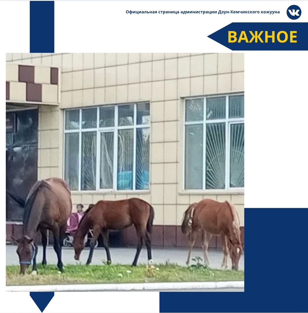 Уважаемые жители Дзун-Хемчикского кожууна! Уважаемые жители Дзун-Хемчикского кожууна!