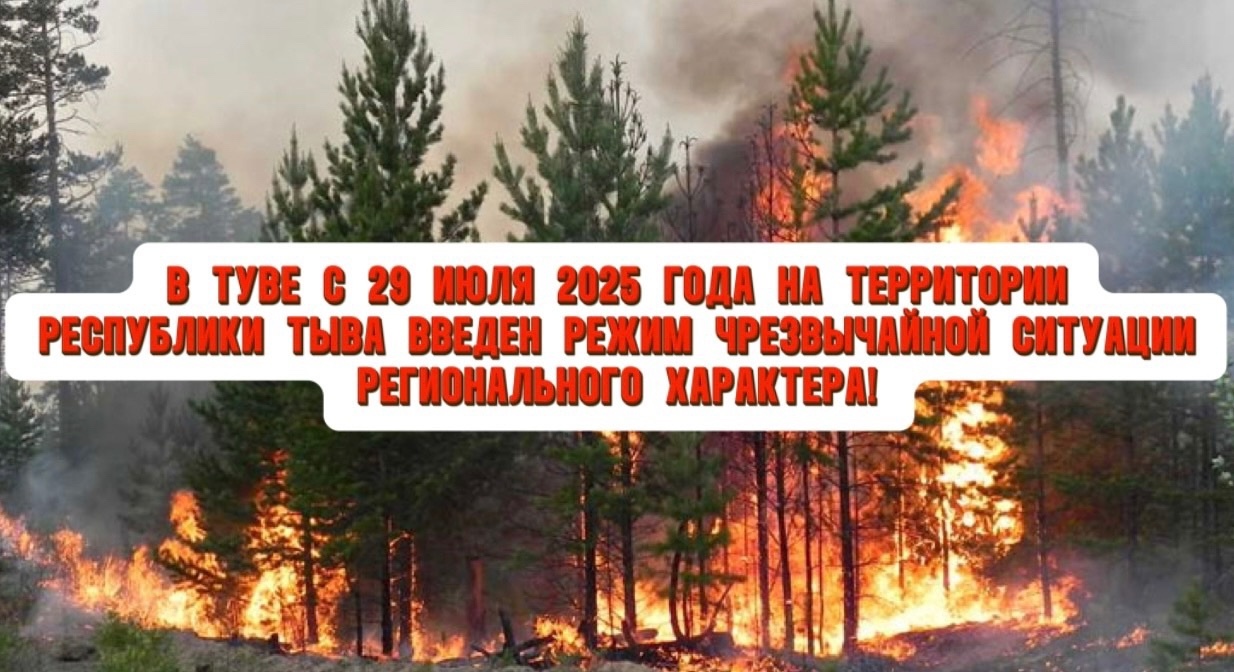 На территории Республики Тыва введён режим чрезвычайной ситуации в лесах регионального характера и особый противопожарный режим с полным запретом посещения лесных угодий. На территории Республики Тыва введён режим чрезвычайной ситуации в лесах регионального характера и особый противопожарный режим с полным запретом посещения лесных угодий.