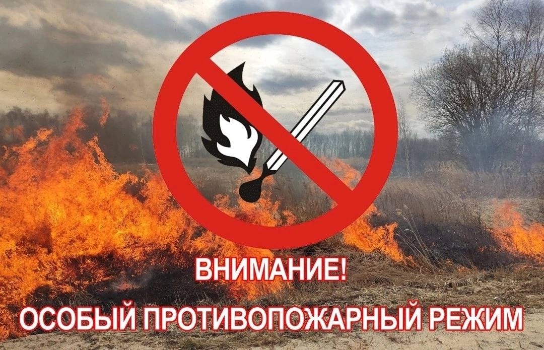 Особый Противопожарный режим в Туве продлен! Особый Противопожарный режим в Туве продлен!