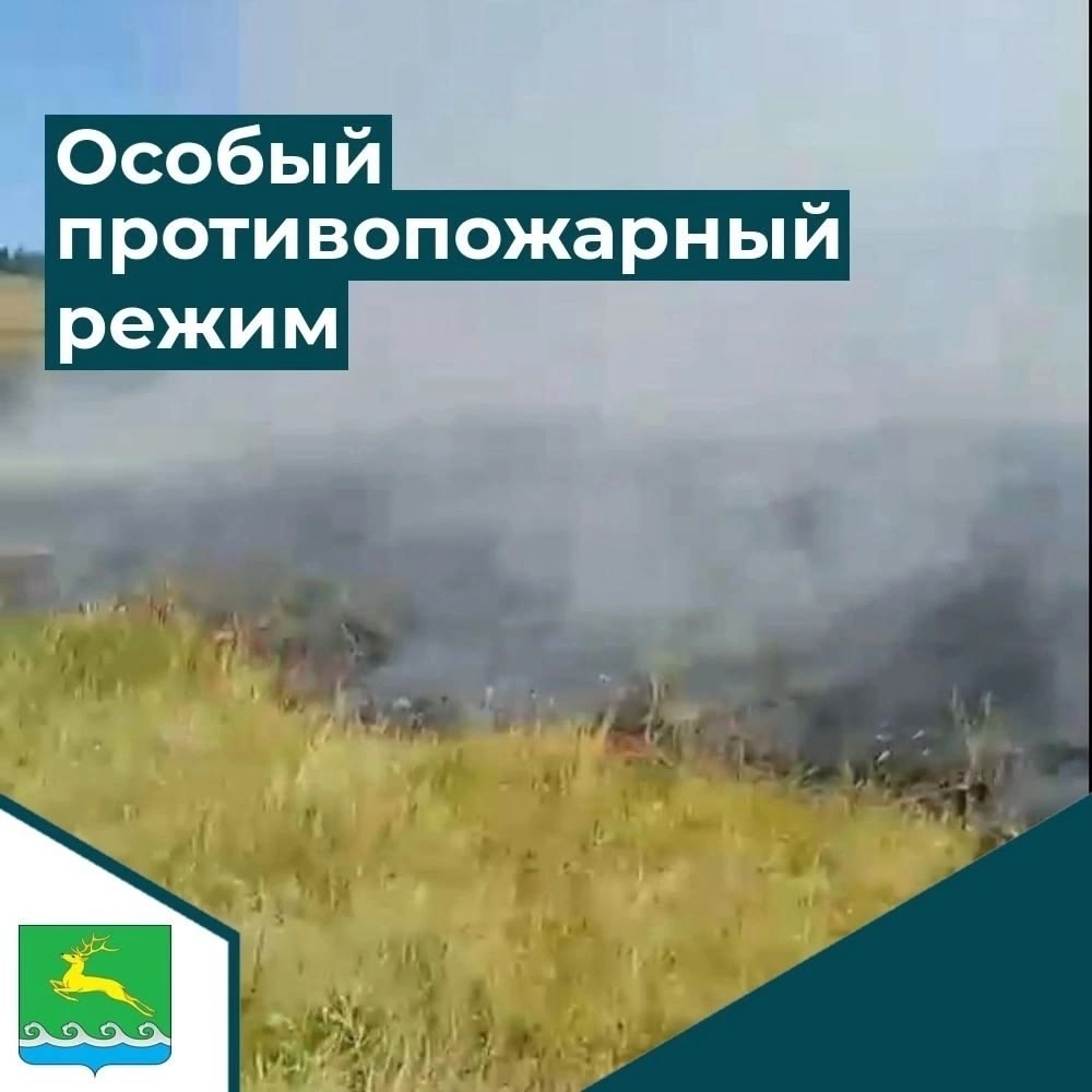 Мангалы под запретом. Рассказываем почему?