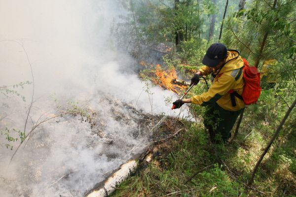 В двух районах Тувы введён режим ЧС из-за лесных пожаров В двух районах Тувы введён режим ЧС из-за лесных пожаров