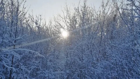 Предупреждение о неблагоприятных явлениях погоды от 9 декабря 2025г.