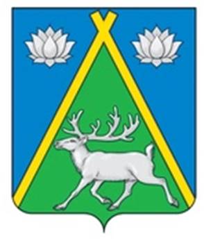 Тоджинский